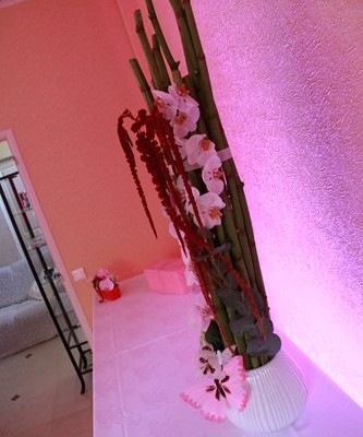 Anniversaire privé
