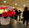 _MG_1042DXO